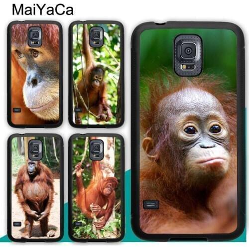 Orangutan Monkey Primates Animal Case For Samsung A21S A20e A71 A51 A10 A40 A50 A70 Galaxy S20 Plus S10 S9 Note 20 Ultra