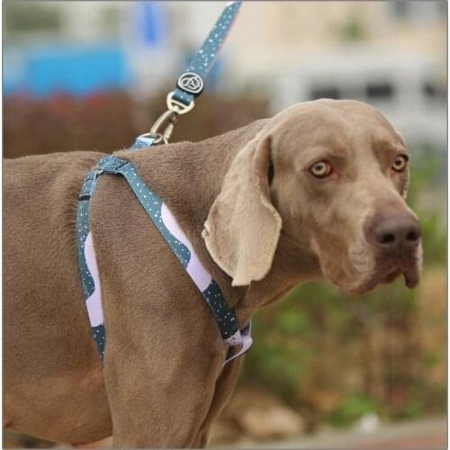 Everking Animal Decorations