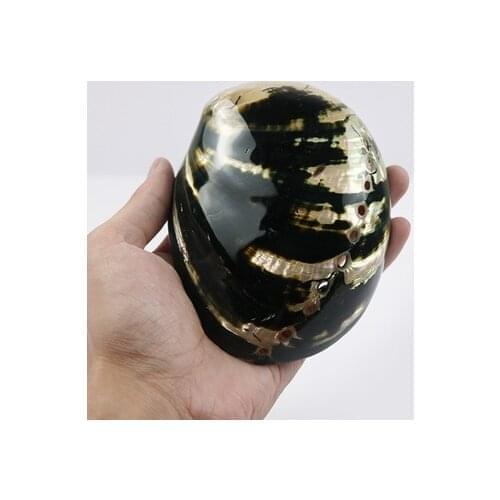 Natural Black Gold Abalone Shell Fish Tank Landscaping Aquarium Decoration Shooting Props Conch Shell Furniture Ornaments