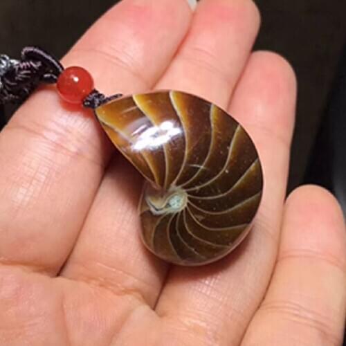 Natural Ammonite Fossils Pendant Conch Crystal Stone Pendant