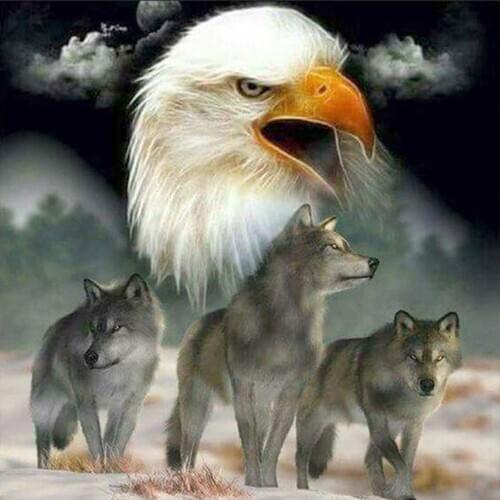 Bald Eagle Gray Wolf Diamond Painting Round Full Drill Nouveaute DIY Mosaic Embroidery 5D Cross Stitch Animal Oil Pattern