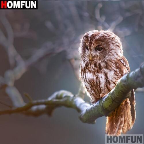 HOMFUN Full Square/Round Drill 5D DIY Diamond Painting "owl" Embroidery Cross Stitch 5D Home Decor A16188
