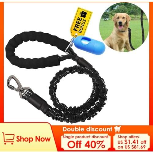 PeTnessGO Leashes For Dogs