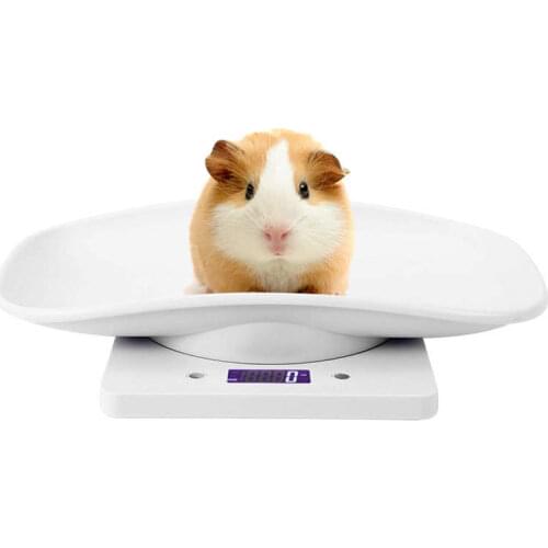 10kg/1g Digital Small Pet Weight Scale for Cats Dogs Measure Tool Electronic Kitchen Scale Body Weight Bathroom Balance