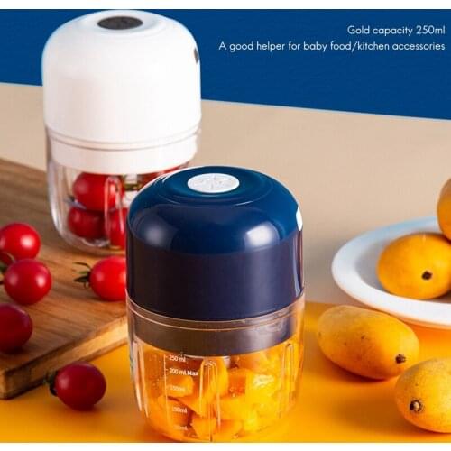 Electric Mini Garlic Chopper Ginger 250ML Food Processor for Ginger Meat,Waterproof Garlic for Chili,Veggie Chopper