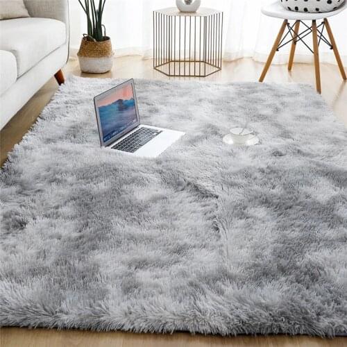 Thick Carpet for Living Room Plush Rug Children Bed Room Fluffy Floor Carpets Window Bedside Home Decor Rugs Soft Velvet Mat