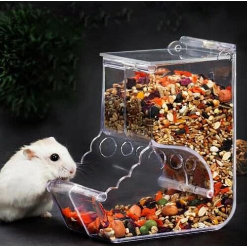 Pet Hamster Rabbit Food Dispenser Plastic Clear Automatic Feeding Ferrets Guinea Pigs Food Bowl Container Small Pets Rodent Bowl