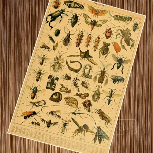 Vintage Insects Watercolor Encyclopedias Illustration Retro Poster Canvas Painting DIY Wall Paper Posters Home Decor Gift