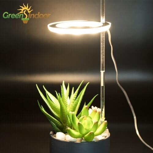 Indoor LED Phytolamp For Plants Grow Light Warm White Phyto Lamp Orchids Desk Growing Flowering USB Full Spectrum Hydroponic Led