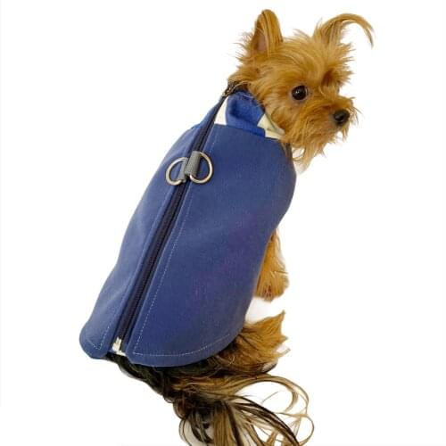 Chamois Design Blue Colour Dog Jacket, For Small Breeds, Dog clothes, Dog Coat, Pet Clothes