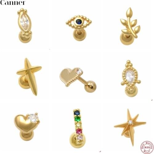 Canner 1pcs 925 Sterling Silver Stud Earrings Horse Eye CZ Butterfly Symbol Irregular Shape Cartilage Piercing Earring Aretes W4