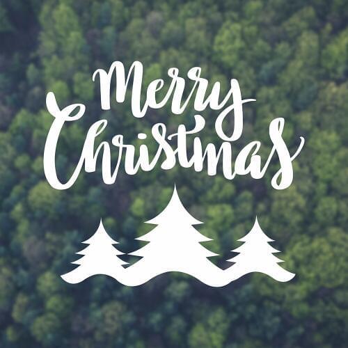 Christmas Window Wall Decal Living Room Home Interior Design Decor Vinyl Lettering Wall Stickers Holidays Decals Mural D827