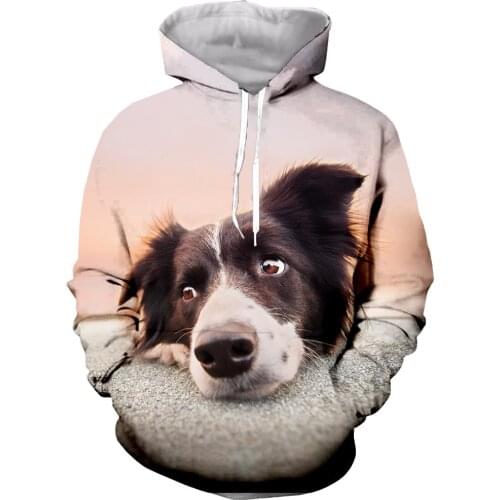 Border Collie Funny New Fashion Long Sleeves 3D Print Hoodies/Sweatshirts/Jacket/Men/women Dropshipping