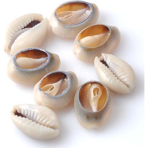 Below about 16mm Grey Natural Shell Loose Beads for jewelry making DIY about 100pcs TRS0079