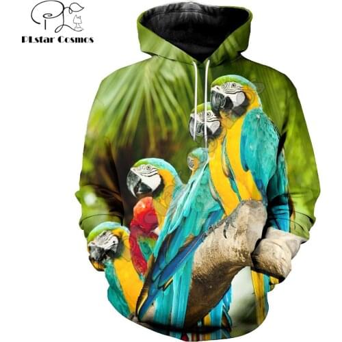 Animal Beautiful Parrot 3D Printing Mens Hoodie Fashion Casual Hooded Sweatshirt Street style Autumn Unisex hoodies KJ700