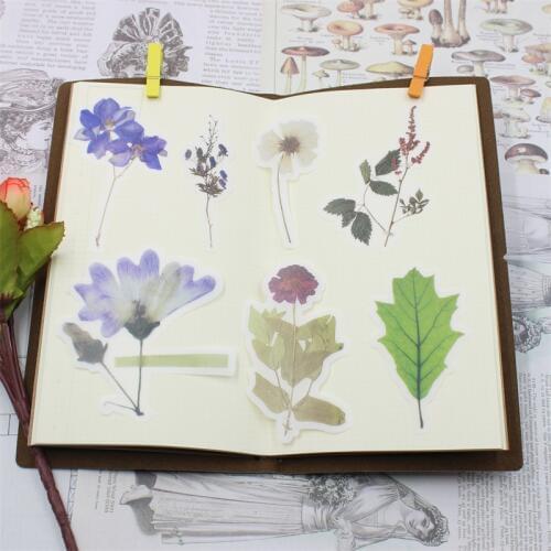 60pcs Vintage Designs Vellum Stickers for Scrapbooking Happy Planner/Card Making/Journaling Project