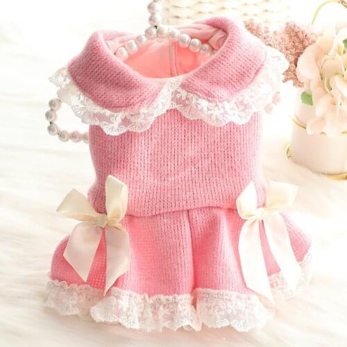 Winter Cute Dog Dress Cat Dog Clothes Pet Dresses Princess Skirt Chihuahua Yorkshire Terrier Poodle Pomeranian Puppy Costume