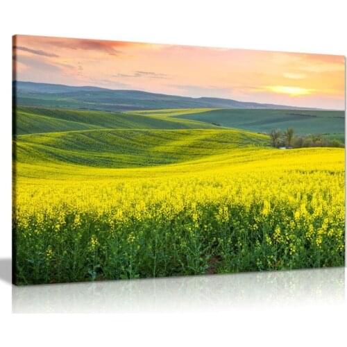 Beautiful Spring Hills Yellow Valley Landscape Canvas Wall Art Picture Print On Canvas Oil Painting Drop shipping