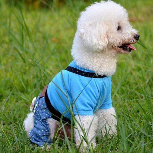 Fashion Style Rompers Blue Clothes for Dog Pet Clothing Puppy Girl Dress Cute Skirt Dog Boy Jumpsuits Coat Jacket Bib Pants