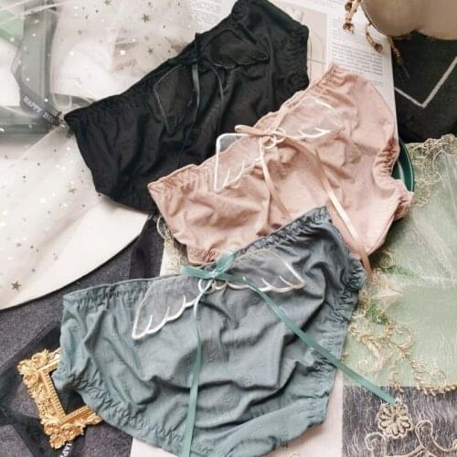Angel Wings Cute Panties For Girl High Elastic Ice Silk Sexy Lingerie Low Waist Womens Underwear Seamless Transparent Chiffons