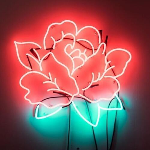 Neon Signs for beautiful rose Neon bulb Sign Decorate bedroom LOVE Room wall Lamp Handcraft Glass Tubes Art lamps Dropship