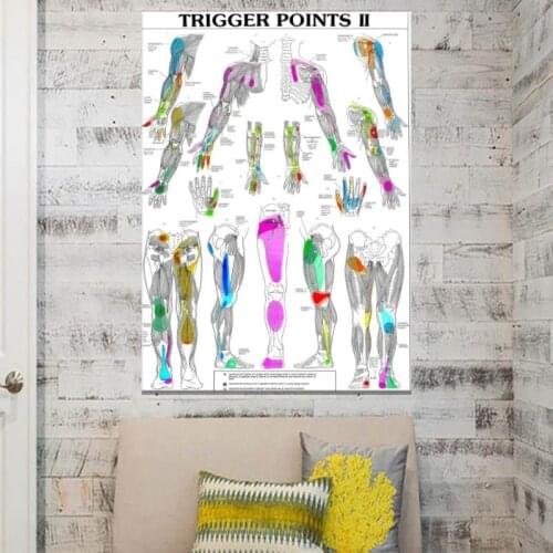 TRIGGER POINTS PART 2 ANATOMICAL DIAGRAM CHART ANATOMY canvas painting art posters and prints painting pictures