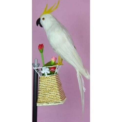 About 40cm white Cockatoo parrot bird ,plastic foam & feathers bird model toy,prop,home garden decoration gift w5568