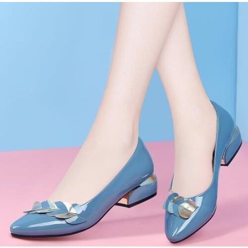 New Summer Pumps Women Shoes All-match Women Chunky Heels with Soft Leather Four Seasons