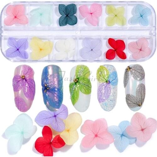 12 Colors/box 3D Nail Art Dried Flower Decoration DIY Preserved Flower Nail Decoration Manicure Accessoires Tools