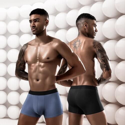 Boxer Shorts Men Underwear High Quality Elastic Waist Cotton Breathable Underpants Male Solid Color Sexy Modal Flat Corner