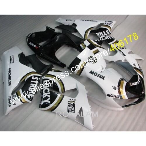 ZX 6R 05 06 For Kawasaki Ninja ZX6R 2005 2006 ZX-6R 636 ZX636 Motorcycle Fairing Kit (Injection Molding)