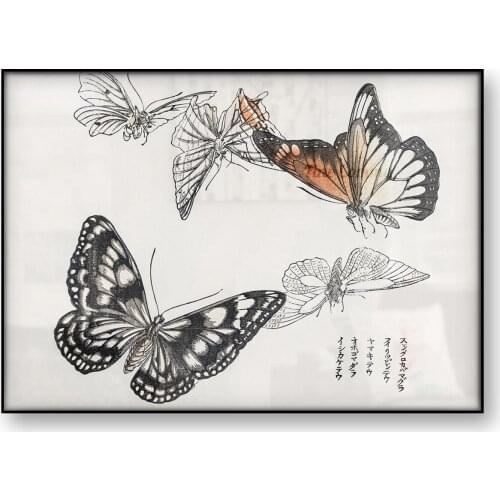 Vintage Japanese Art Poster Butterflies Illustration Churui Gafu Morimoto Toko Chinese Insect Canvas Print Asian Wall Art Decor