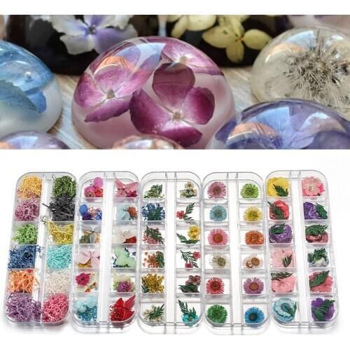 1Box Ammi Majus Real Dried Flower Dry Plants For Epoxy Resin Pendant Jewelry Making Craft DIY Accessories Nail Art Decals Candle