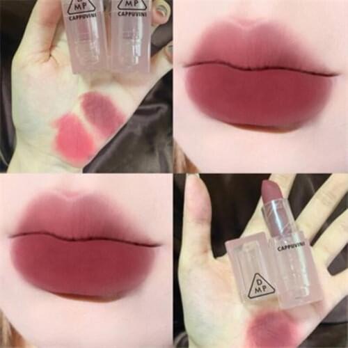 NEW Arrival Moisturizing Lipstick Dark Red Orange Rose Long Lasting Waterproof Strawberry Cherry Velvet Matte Lipstick TSLM1