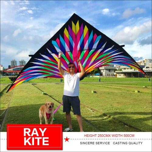 New Arrival 5m Big Delta Fireworks Kite for Audlts High Quality Huge Triangle Kites Outdoor Fun Toy