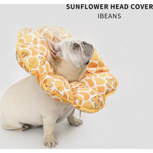 Первый питомец ABQP China At AliExpress