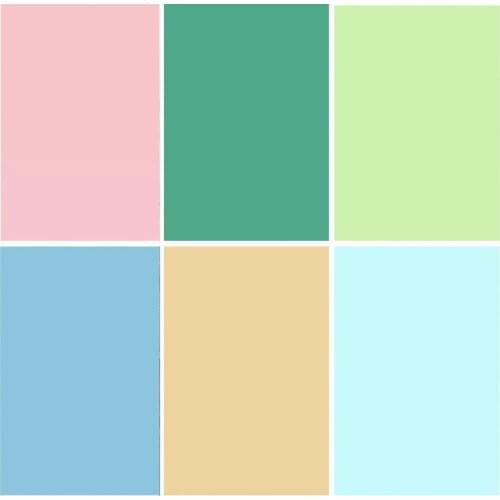 ZHISUXI Vinyl Photography Backdrops Prop Texture Portrait Solid Single Color Photo Studio Background 210215 SG-1009