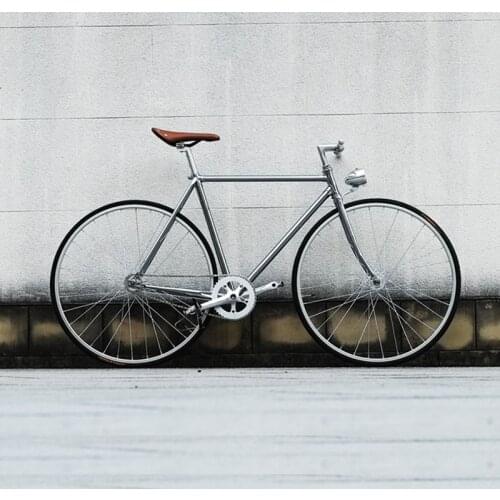 Retro Steel Frame Sliver 700C Fixed Gear Bike Track Single Speed Bicycle 52cm Fixie Bike Vintage DIY Frame Cycle Traveling