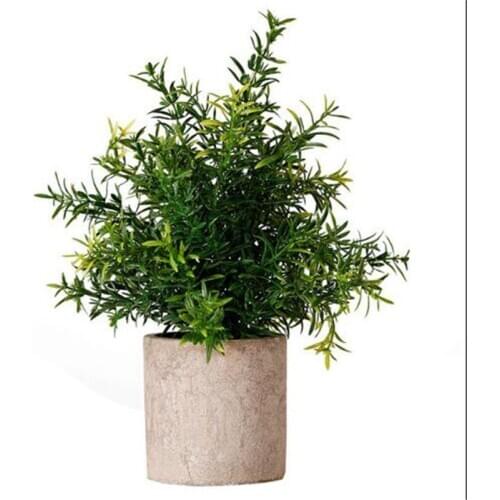 Plant Accessories Fake Bonsai Tree With Pot 1 Piece 24cm Artificial for Wedding Decorations
