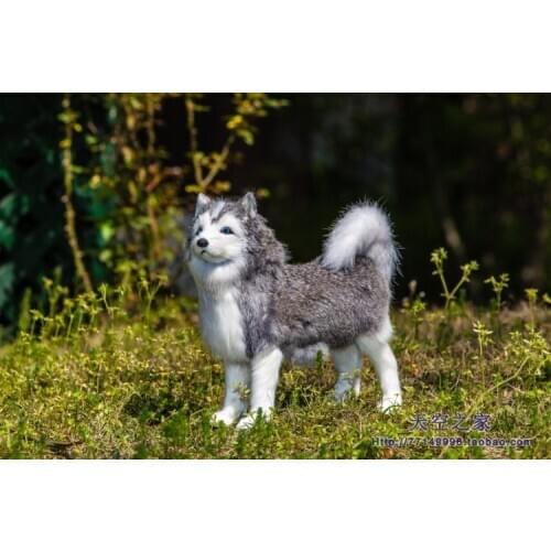 Simulation animal husky dog plush toy props 16x15cm dog home decoration Christmas gift toy w0451