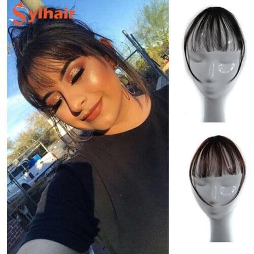Sylhair Hair Front On Hair Bangs Brown Black color One Piece Only Fringe Hair Extensions Synthetic Hair Bangs