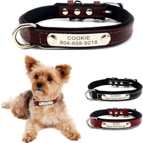 Personalized Dog Collar Custom Puppy Cat Name ID Tag Real Leather Adjustable Basic Collars Leads Learsh Set Pet Accessory