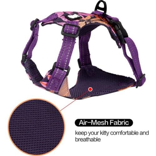 Detachable Reflective Cat Sling Traction Rope Double Disc Anti-strike Hawaiian Wind Sliding Cat Rope Cat Traction New