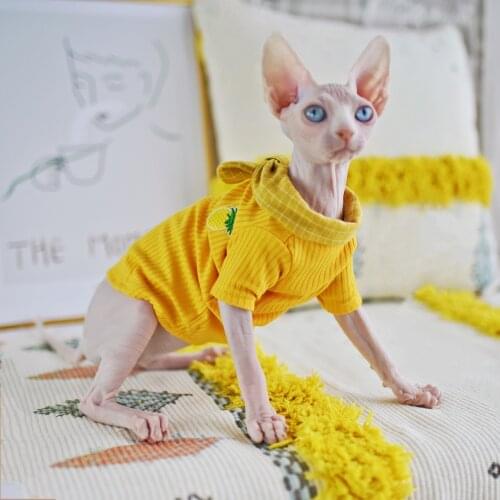 Hairless Kitty Shirt Bottoming Clothes for Cat Spring Autumn Outfits Sphinx Bald Cat Clothing for Sphynx Cat Apparel