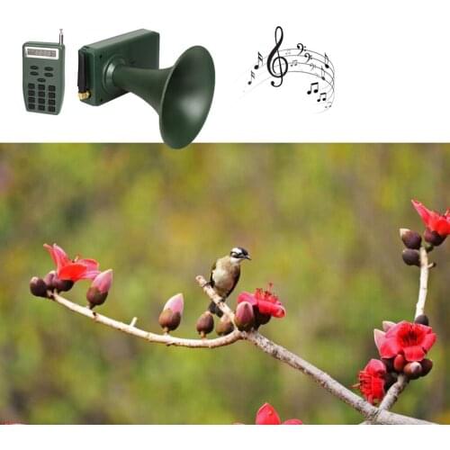 Манки для охоты Prettyia China At AliExpress