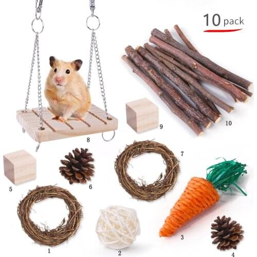Hamster Rabbit Chew Toys Set Natural Wooden Pine Guinea Pigs Rats Chinchillas Small Pet Molar Supplies Toys Accessories