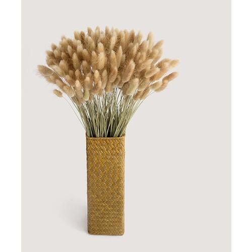 30 stems Dried Flower Bunny Tail Natural Plants Floral Rabbit Grass Bouquet Home Decoration Accessories Photography Props Flores