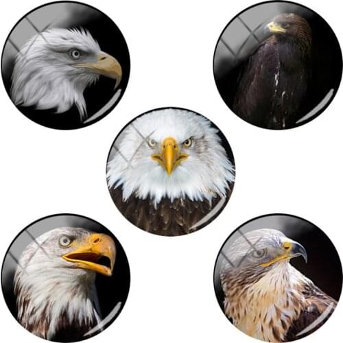 TAFREE Hawk Black-eared Kite Art Patterns Print On Glass Bead Birds Jewelry Findings 12/15/16/18/20/25 mm Flat Back HL63