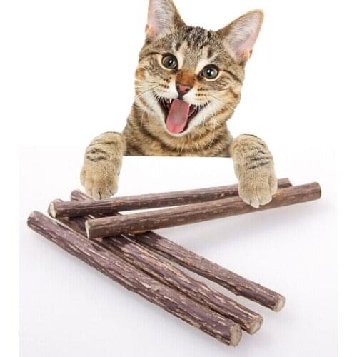 8PCS/Set Pet Cat Kitten Chew Stick Toy Catnip Molar Actinidia Fruit Matatabi Cat Snacks Sticks