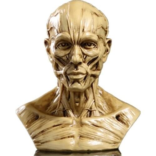 10*8.5*6cm Resin anthropometric dummy Medical Skull Half Body Muscle Skeleton Home Decorations Figurines Art Halloween gifts